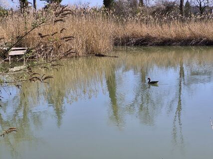 Photo de Günther Von Mühlenen le long du parcours