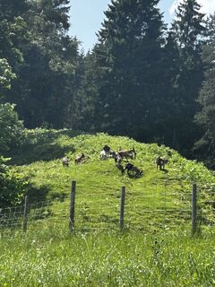 Kuva osoitteesta Katrin Rupprecht matkan varrella