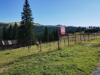 Zdjęcie z Tasurinki Mitote wzdłuż trasy