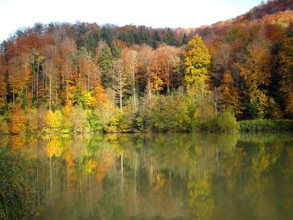 Lac de Lucelle