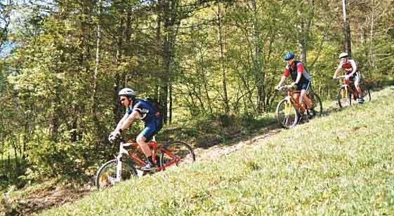 Mountainbiken rund um Abtenau. 