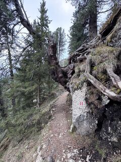 Foto von Holger Hofmann entlang der Tour