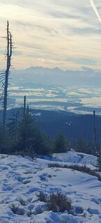 Photo de ketup le long du parcours