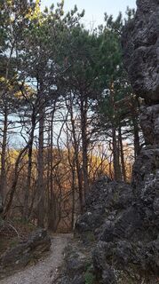 Fotografia z monika pomahac 1 na trase