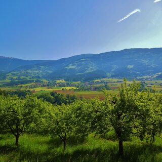 Blick  Koralpe