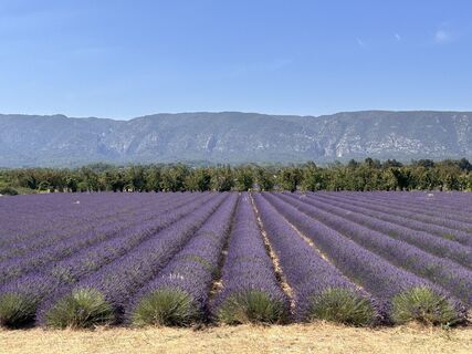 Fotografija s spletne strani jml na poti