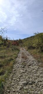 Foto von Davor  Umag City Croatia.?? entlang der Tour