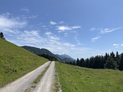 Fotografia z Heinz Sperl na trase