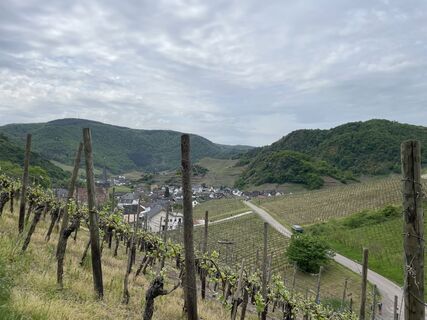Photo de Albert Klapperich le long du parcours