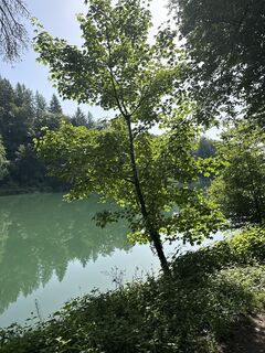 Foto de VBR a lo largo del recorrido