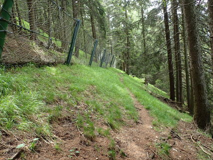 Aufstieg am Steig