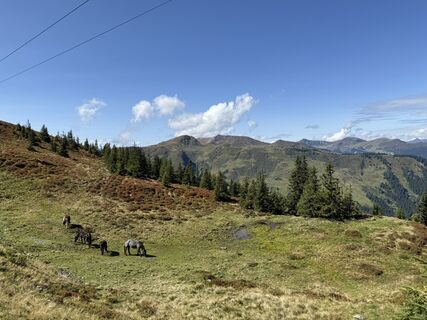 Photo from Daniella De Wolde along the tour