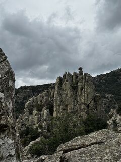 Fotografija s spletne strani Femke Veenhuizen na poti