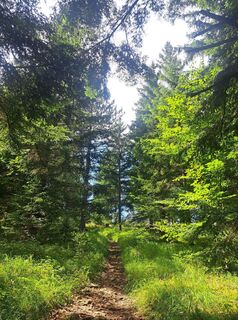 Foto fra GAdamec underveis på turen