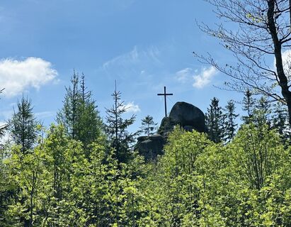 Fotografija s spletne strani Natur_erleben_dg na poti