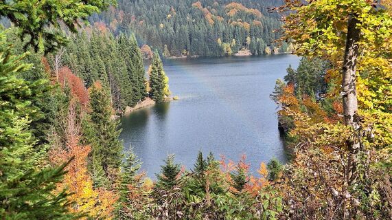 Fotografia z Karl Kriegseisen na trase