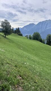 Foto von Mountain Cat ? ⛰️ entlang der Tour