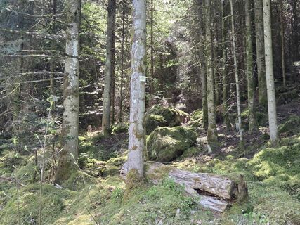 Fotografia z Timon Bertignoll na trase
