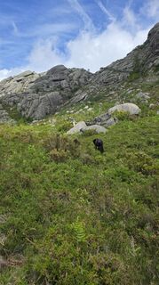 Foto de Harald Rothermel a lo largo del recorrido