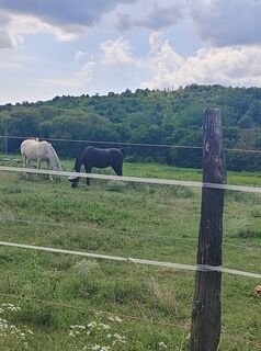 Fotografia z Edit Szabó 1 na trase