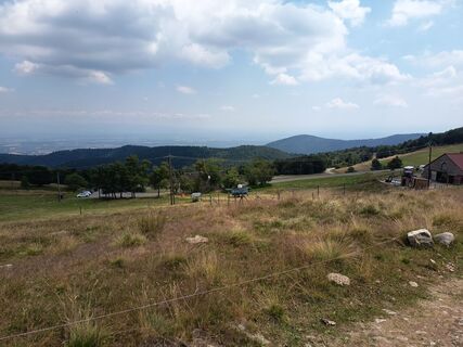 Photo de Daniel BELAT le long du parcours