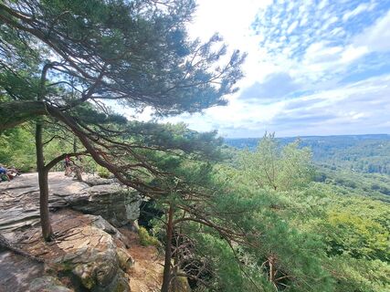 Fotografie z Bellou na trase