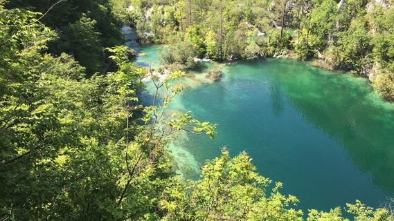Fotografia z Lomalinda na trase