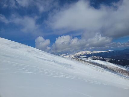 Foto från schenkeli under resans gång
