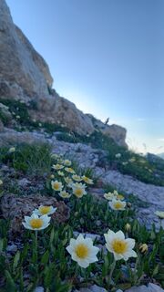 Foto von andrea merlo entlang der Tour