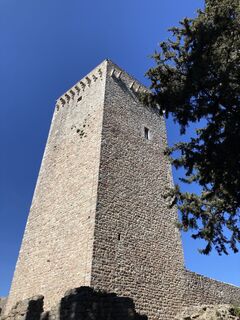 Foto fra Eva Henk undervejs på turen