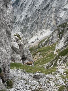 Foto von David Macherhammer entlang der Tour