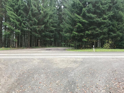 Überquerung der Straße nach Hönig