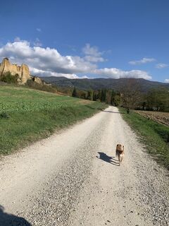 Foto da Andrea Morotti lungo il tour