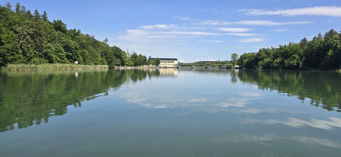 Foto da Zèé lungo il tour