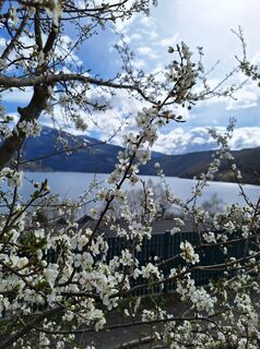 Fotografia z Dagmar Hofer na trase