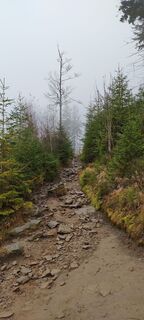 Foto de Sylwiasuchy76 a lo largo del recorrido