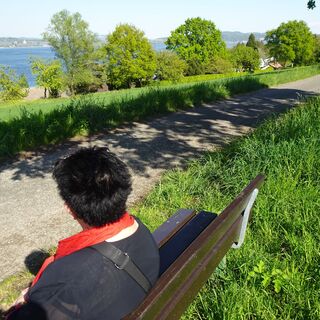 Bank am unteren Wegstück mit Seeblick