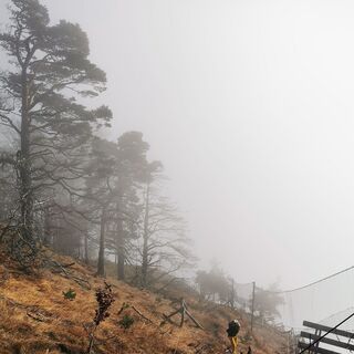 Kurz vor dem "Bödele"