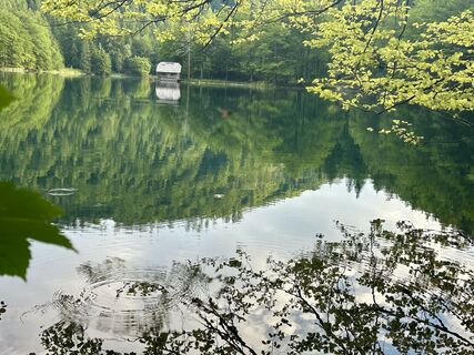 Fotó a Dani Geiger / Natur_erleben_dg honlapról a túra során