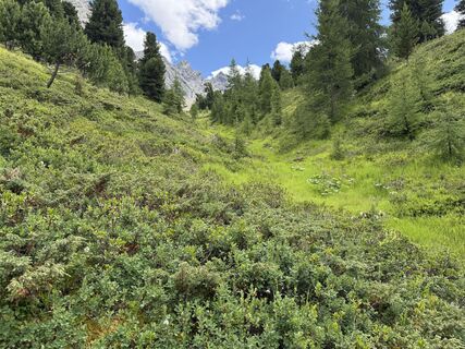 Foto von Han en Christa Jordaan entlang der Tour