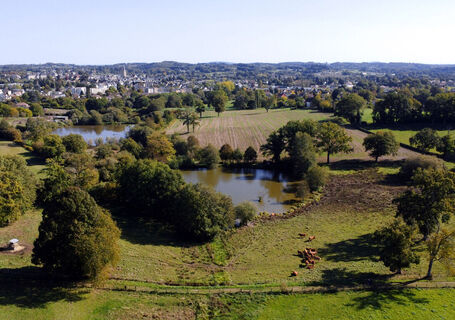Etang rompu vue aérienne copie