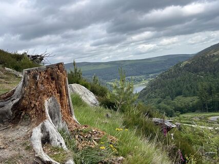 Fotografia z Anita Maigler na trase