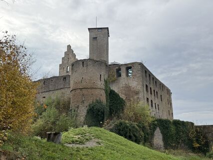 Foto da Norbert Herbig lungo il tour