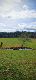 Foto von ReginaSt entlang der Tour