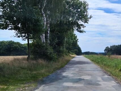Wirtschaftsweg oberhalb von Starrel