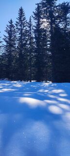 Fotografia z Diana Croitoru na trase