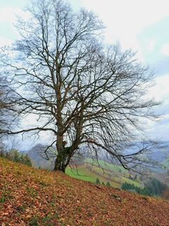 Foto von greinerin entlang der Tour
