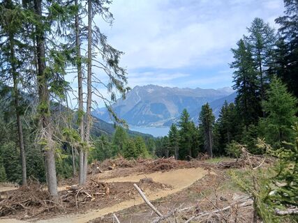 Photo de Luca Dainese le long du parcours
