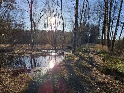 Photo de nordbergschnecke le long du parcours