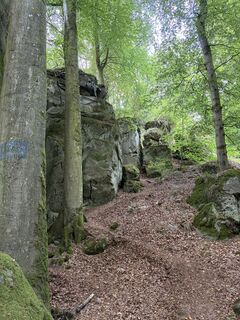 Foto von Nicole Versporten entlang der Tour